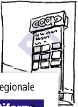 partner regionale